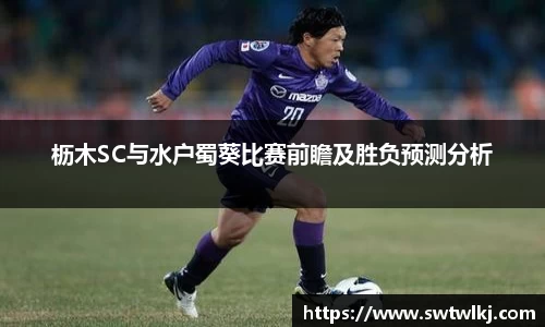 枥木SC与水户蜀葵比赛前瞻及胜负预测分析